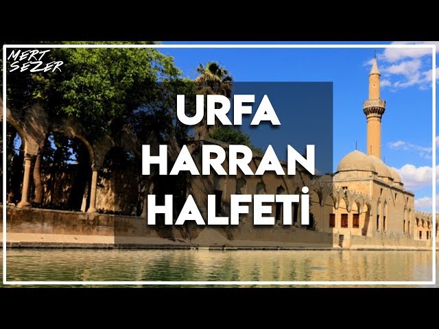 Video pronuncia di Harran in Inglese