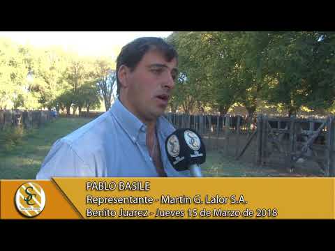 15-03-18 Nota Pablo Basile - Martin G. Lalor S.A. - Benito Juarez.
