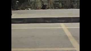 The Orange Lights   Let The Love Back In Again lyrics   YouTube