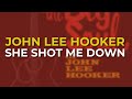 John Lee Hooker - She Shot Me Down (Official Audio)