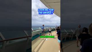 Battling the Wind: Cruise Ship Bridge Search #cruise #shorts #travel #royalcaribbean