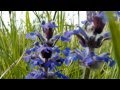 Blue Cafe - Czas nie będzie na nas czekał ...