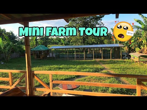 Our MINI  FARM TOUR|| Kubo Tour🏚 #farmtour #chickenfarming