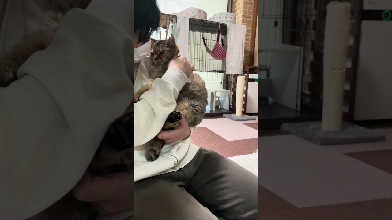 あの頃と変わらずなじゅ様とラブラブです❤️