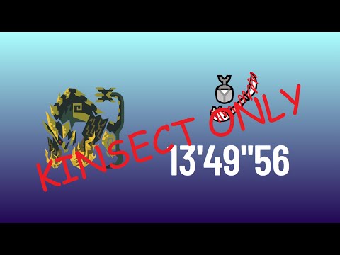 MHW:IB | Achy Brachy Heart 13'49"56 | Kinsect Only