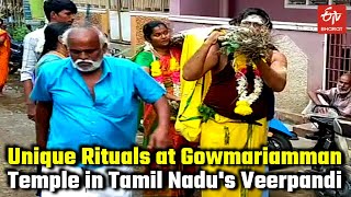 Temple video
