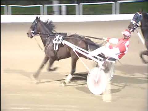 Trotto 12/11/2017 - 7ª corsa