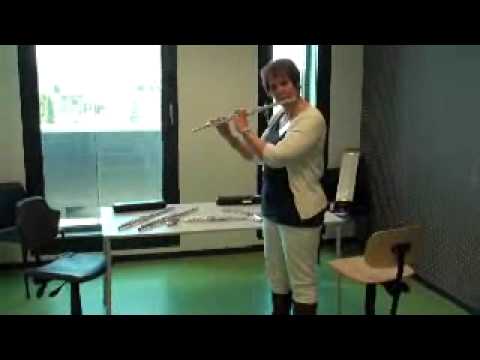 Pier K cursus Dwarsfluit