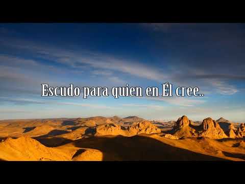 Escudo (Batería) Filipe Henriques