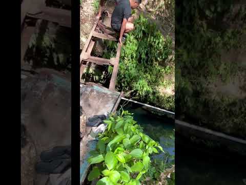 !!La Competencia de salto en el borbollón- San Antonio del monte la ganó vini !! 😱😱 #parati #reels