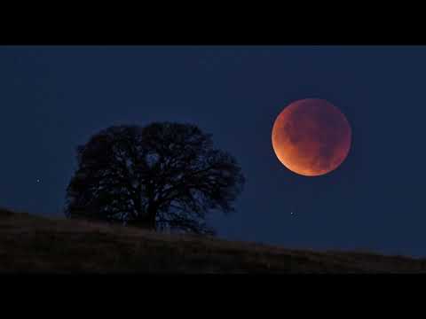 SEETHALA SANDAK WELA