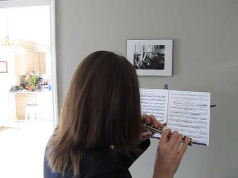 Gemeinhardt 4PMH piccolo