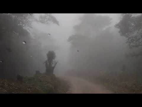 Going down the upper part of the mountain towards the municipality of La Unión. Zacapa Department