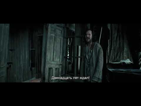 Gary Oldman Harry Potter Sirius 8X10 Photo Hand Signed Autographed ACOA COA eBay