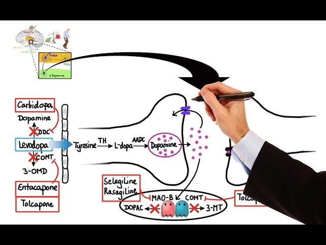 Video Pronunciation of apomorphine in English Video Pronunciation of apomorphine in English