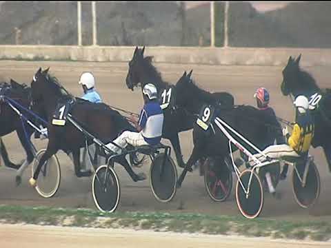 Trotto 14/10/2018 - 8ª corsa