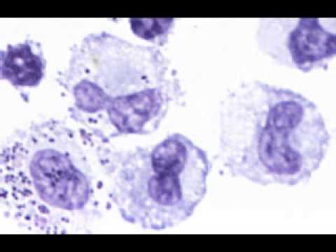 Medicate And Innovate Humanmedicine2013 Likes Askfm