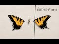 09 Where The Lines Overlap Paramore Brand New Eyes Album 2009