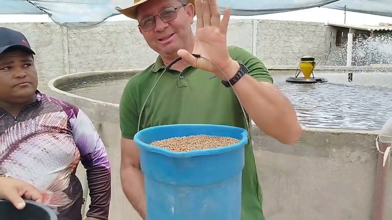 Agro Alagoas - criação de tilápia em tanque com recirculação de água - PARTE 02