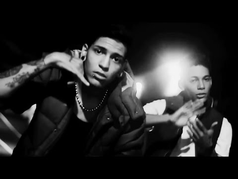 Lized LZP and LyanTIprod