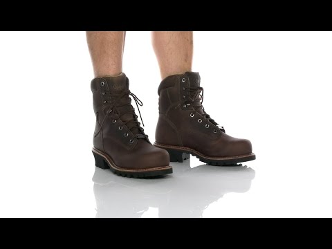 Chippewa cibola cheap 8