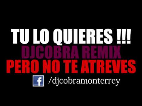Tu Lo Quieres Pero No Te Atreves - Dj Cobra (Perreo2013)