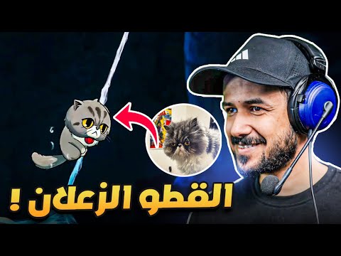 Princess of the Water Lilies لعبة انت فيها قطو البشر يطاردونه