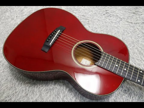 TAKAMINE T Series T-P2 See through Red PARLOR type body 630mm
