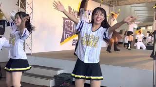 鷹の採点?ハニーズ？