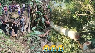 Download lagu Other people are happy for Christmas but me. 😭😭😭😭 mp3 Download lagu Other people are happy for Christmas but me. 😭😭😭😭 mp3