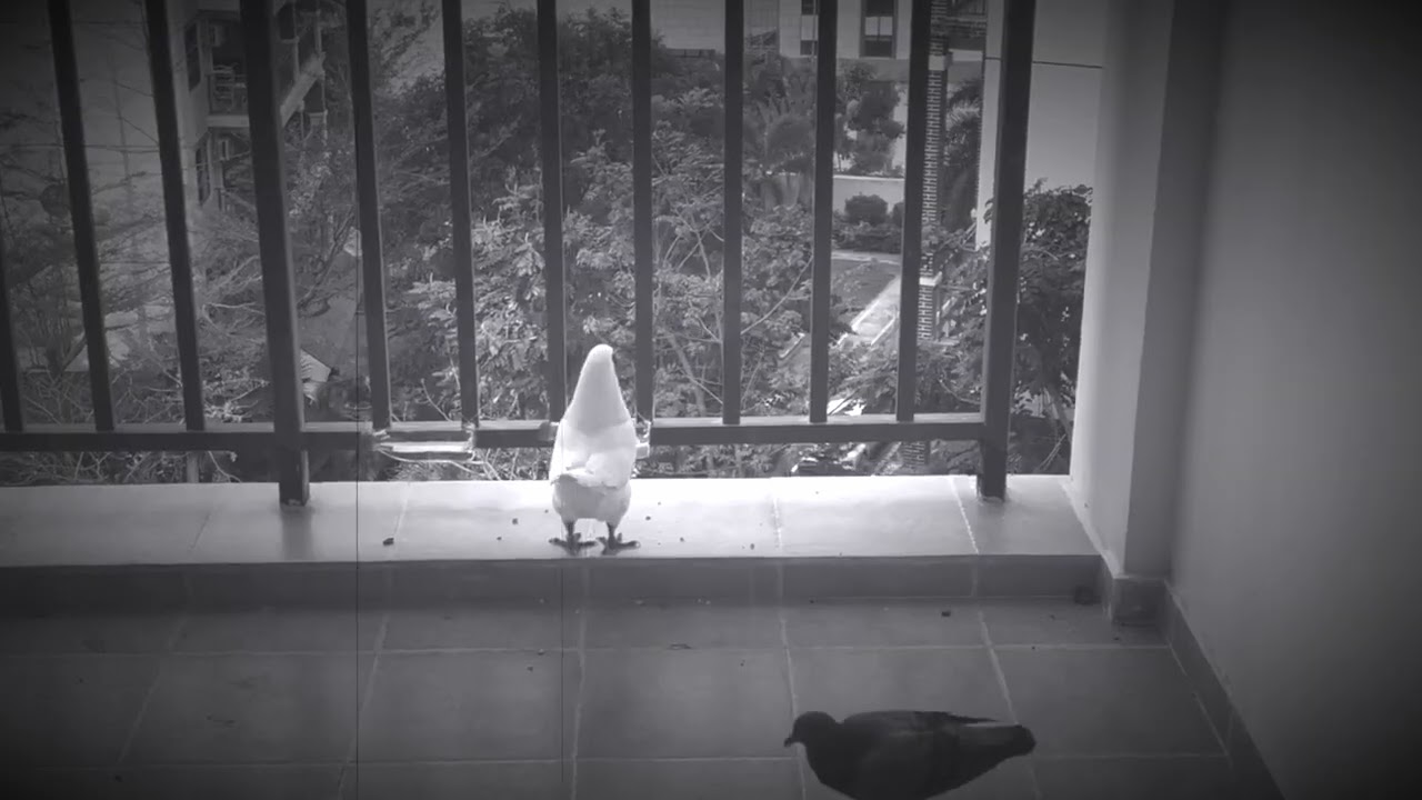 Invader and Defender - TRAILER