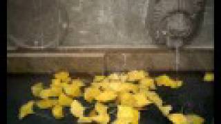 Pascal Comelade &amp; PJ Harvey. Love too soon