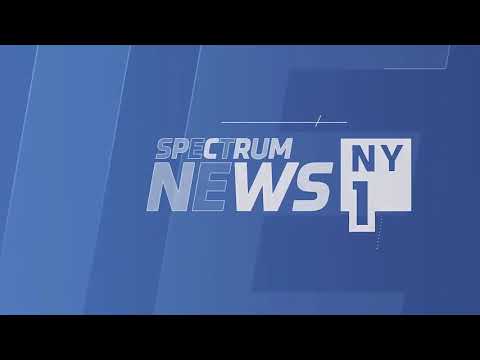 NY1 sponsored by Roscoe and Bell Environmental - Sending Beagle Hugs