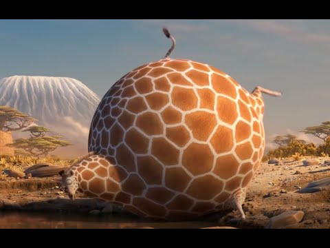 Komik Şişman Hayvanlar - Animasyon Kısa Film