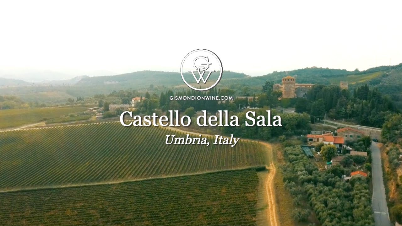Video af grønne vinmarker og den gode historie om Castello della Sala fra Italien