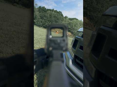 Eotech 300 Blackout sight