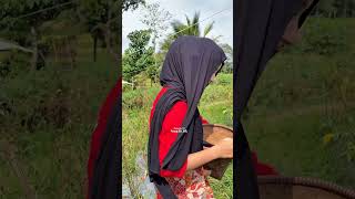 Download lagu Pesona neng iis gadis cantik dan lugu🥰🥰 #gadisdesa #jandadesa #pedesaanjawabarat mp3