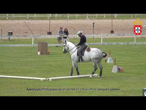 220501 Masters Prova de Maneabilidade III Jornada CNET e Internacional