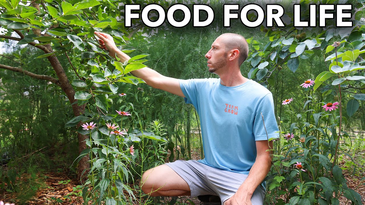 Plant This Once and it will Feed You Forever…