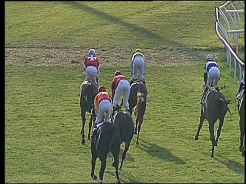 Galoppo 24/06/2016 - 6° corsa