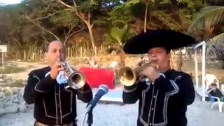 Video de Mariachi Nuevo México