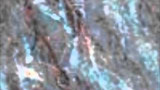 PM Dawn The Nocturnal Is In The House