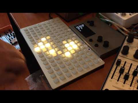 Monome Norns Zellen Cellular Automata Sequencer