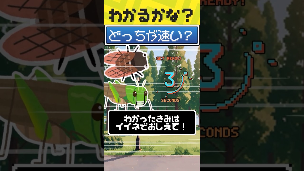 【 #クイズ 】これがわかれば#昆虫 博士‼️【#暇つぶし 】