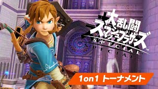 【スマブラSP】ソラと戦いたいリンクさん【全キャラVIP】