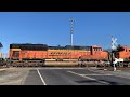 E Bell Died BNSF 3923 Grain Train North E Armstrong Road Railroad Crossing Lodi CA
