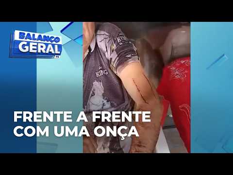 Onça-parda fica frente a frente com agricultor moradores de área rural convivem com o medo