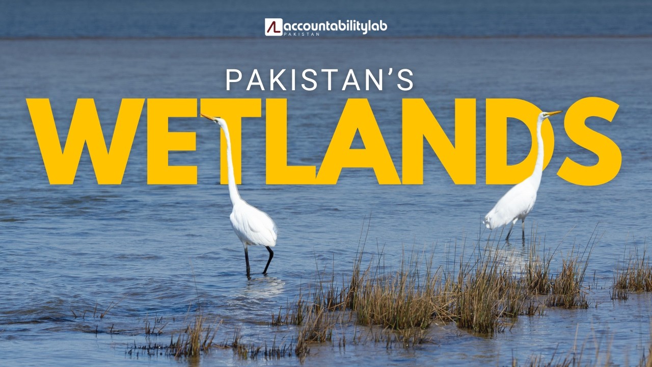 Pakistan's Wetlands - A Documentary by Accountability Lab Pakistan