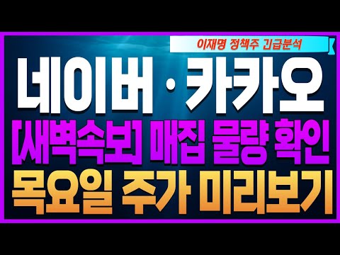 [Kakao, Kakao Pay, Naver, NAVER Stock Price Forecast] 🔴[Dawn Breaking News] Check the Buying Volu...