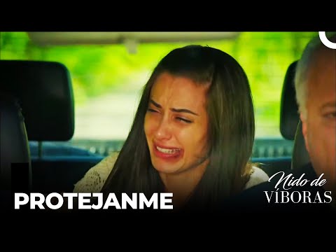 Su Hermano Atrapa Elvan - Nido De Víboras Capitulo 3 (Dobladas en Español)